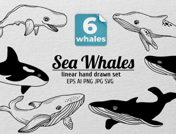 Download Cute Linear Ocean Whales Clipart - Premium Resources