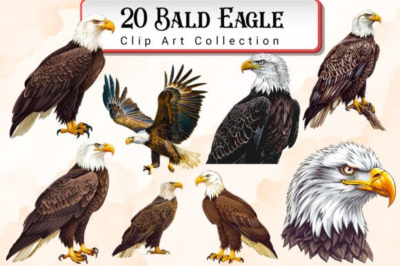 Download Bald Eagle Clipart Bundle - Art Collection