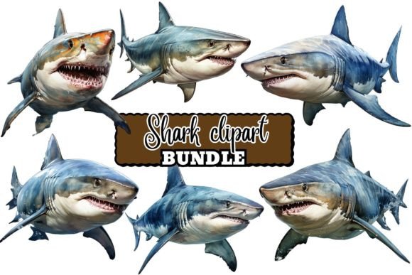Download Watercolor Shark Clipart Bundle - Art Collection