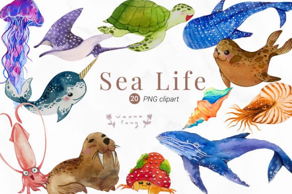 Download Watercolor Sea Life Clipart, PNG - Art Collection