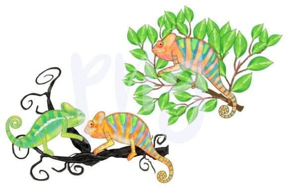 Download Chameleon Leaves Nature Png Animal Art - Art Collection
