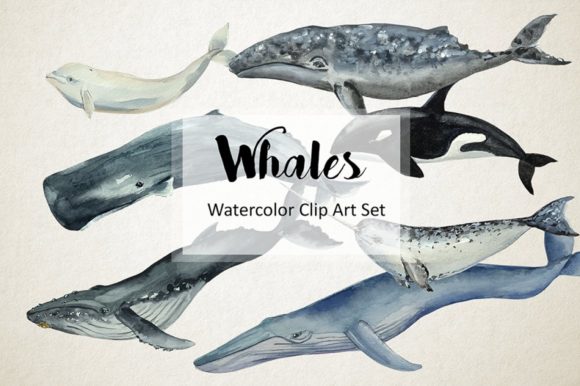 Download Whales - Watercolor Clip Art &amp; Print - Art Collection