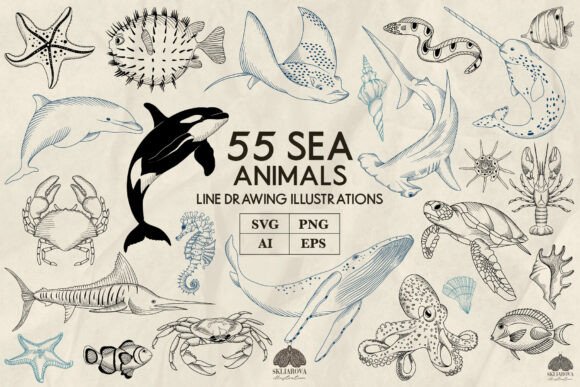 Download Sea Animals Line Art Collection Svg Png - Art Collection