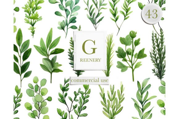 Download Watercolor Greenery Leaves Clipart - Art Collection