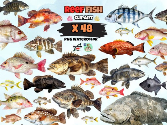 Download Watercolor Reef Fish Clipart - Art Collection