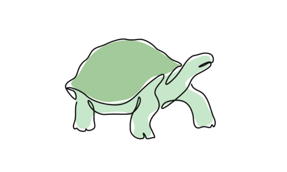 Download Animated Sea Turtle Continuous Line Art - Art Collection