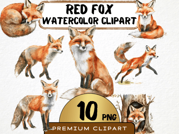 Download Watercolor Fox Clipart Bundle 10 PNG - Art Collection