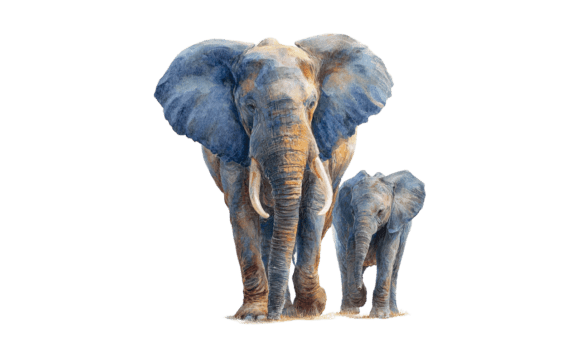 Download Elephant Mom &amp; Calf Watercolor Art - Art Collection
