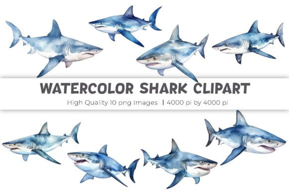 Download Watercolor Shark Clipart - Art Collection