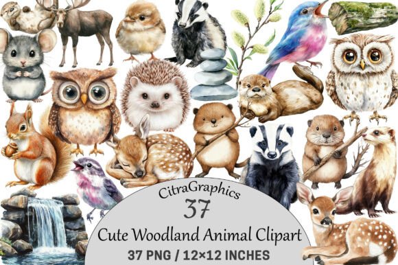 Download Cute Woodland Animal Clipart. - Art Collection