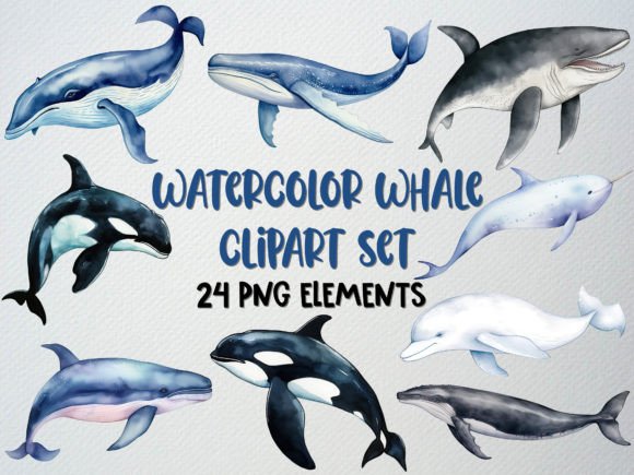 Download Watercolor Whale Clipart Set, Sea Life - Art Collection