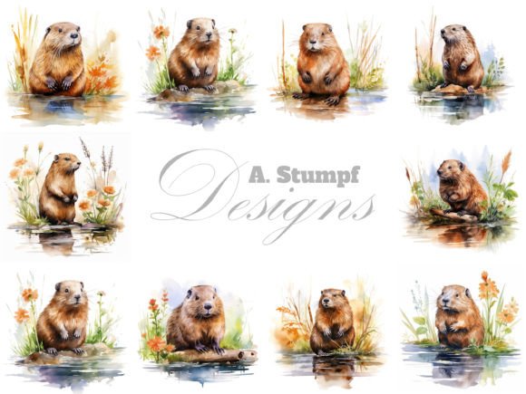 Download Beaver Clipart Watercolor Animal Bundle - Art Collection