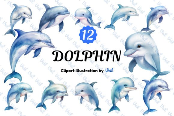 Download Dolphin Clipart Watercolor Bundle - Art Collection
