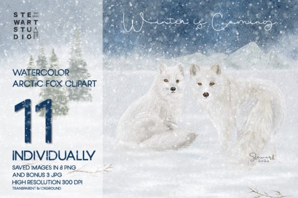 Download Watercolor Arctic Fox Clipart - Art Collection