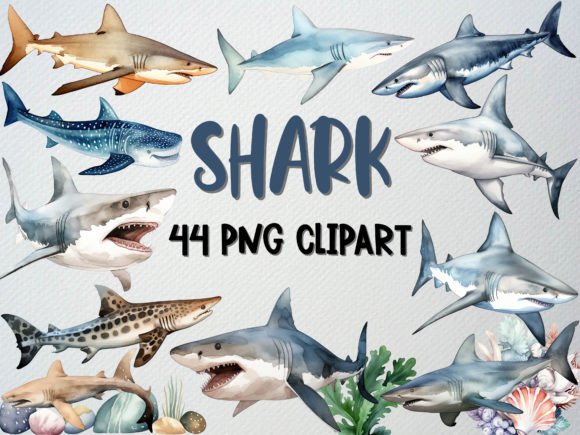 Download Watercolor Shark Clipart Set of 44 PNG - Art Collection