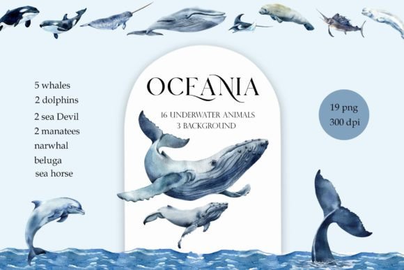 Download Watercolor Whales Sea Animals Dolphin - Whales Collection