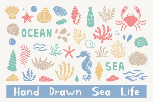 Download Hand Drawn Sea Life Summer PNG Clipart - Art Collection